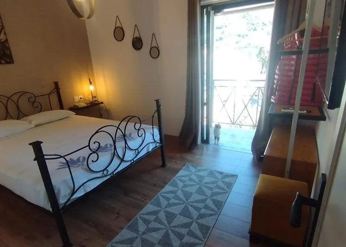 Apartament Buenavista *